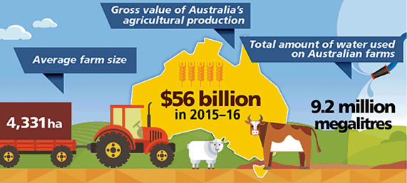 Image: 2015-16 Agricultural Census infographic