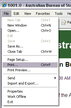 Select File - Print from File Menu to print page