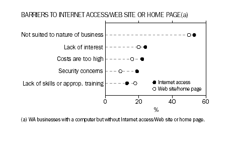 Barriers to Internet access or web site or home page