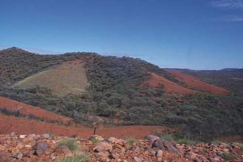 S19: Mulga-spinifex mosaic in central Australia, photograph by Catherine Nano.