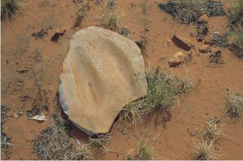 S8 Millstone for grinding grass and acacia seeds. Seed foods were an important staple in the Australian deserts. Photograph by Mike Smith.