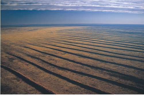 S10 The heart of the Australian continent is ringed by vast dune fields, such as the Simpson Desert. These sand ridges are aligned with the dominant wind patterns of 20,000 years ago. Photograph by Mike Gillam.
