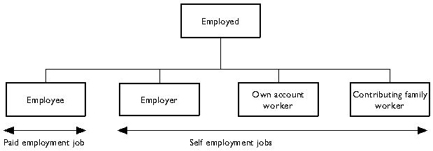 Diagram 4.1 - Framework of status in employment classification