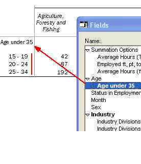Image shows the Recoded 'Age under 35' Age field.