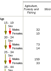 Image shows the 'Sex' field sub-nested within the 'Age Group' field.