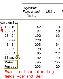 Image shows the 'Age' field concatenated withe the 'Sex' field.