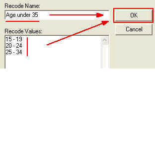 Image shows the Recode Name and Recoded values before clicking on 'OK'.