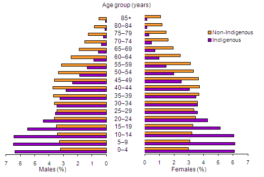 GRAPH: Age and sex distribution pyramid of Indigenous and non-Indigenous Australians, 1996