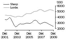 Graph: SHEEP AND LAMBS