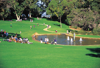 Picnic Area in Kings Park  (Photo Courtesy of Tourism WA)
