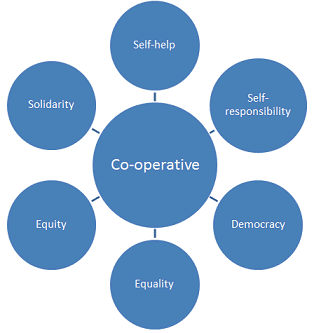 Co-operative values