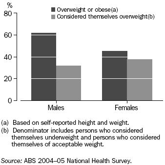 Graph: Perceptions of Weight — 2004–05