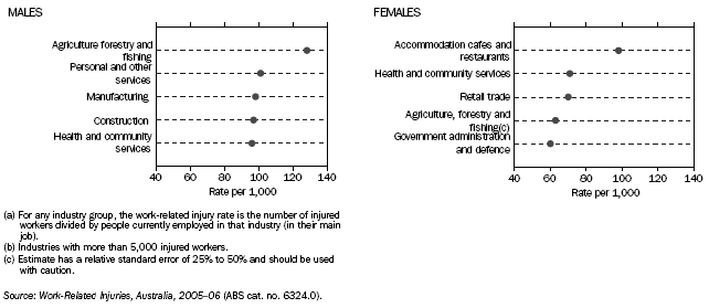 GRAPH: WORK-RELATED INJURY RATES(a) BY INDUSTRY(b) — 2005–06