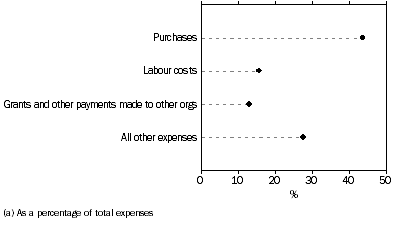 Graph: EXPENSE ITEMS, Other activities(a)