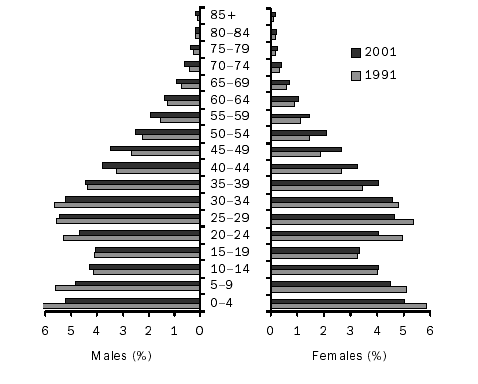 A population pyramid for the Kimberley SD