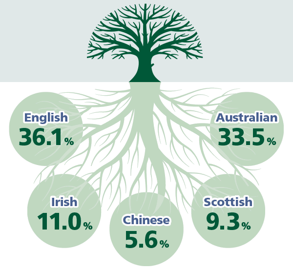 Family tree infographic representing the top 5 listed ancestries. English 36.1%, Australian 33.5%, Irish 11.0%, Scottish 9.3% and Chinese 5.6%.