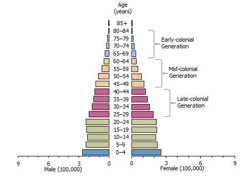 Pyramid graph: Population structure - 1911