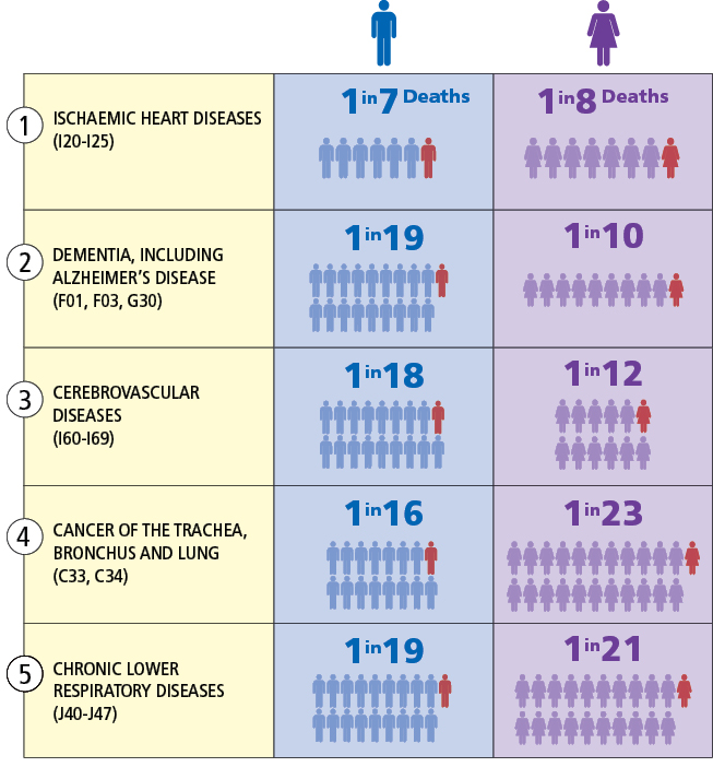 Diagram: Leading causes as a proportion of all male and female deaths, 2014.
