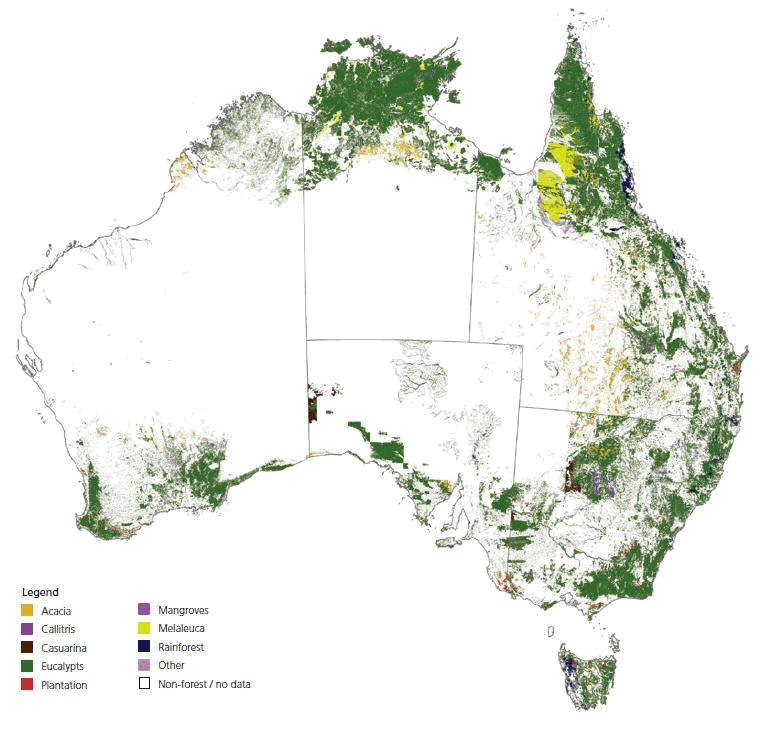 Native forest area map of Australia, by forest type