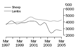 Graph of number of sheep and lambs slaughtered, Mar 1997 to Mar 2005