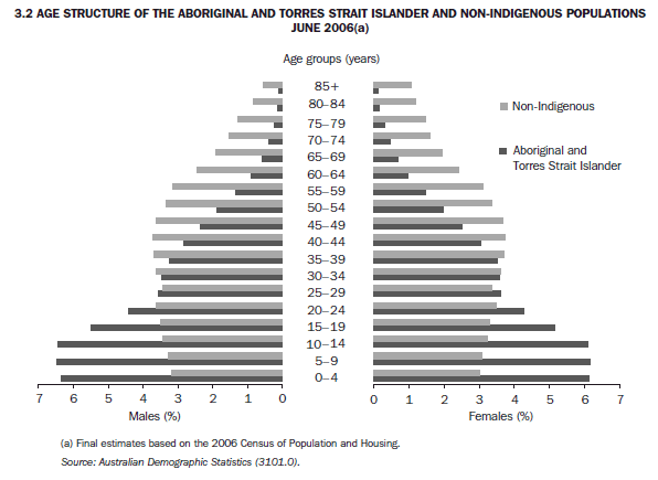 3.2 AGE STRUCTURE OF THE ABORIGINAL AND TORRES STRAIT ISLANDER AND NON-INDIGENOUS POPULATIONS—JUNE 2006(a)