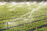 Image: Irrigation
