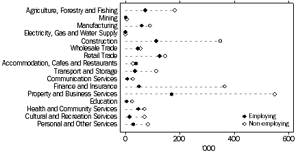 Graph: Industry Divison by Employing / Non-employing June 2004