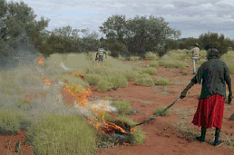 Indigenous woman burning, Walalkala Indigenous Protected Area