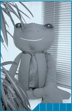 The ABS’ Green Team mascot, Mr Frog, has been attending ‘green’ functions during 2007–08.
