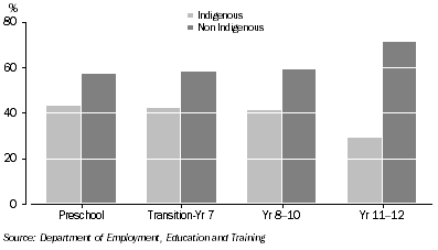 Graph: Students by Indigenous Status: Northern Territory—2007