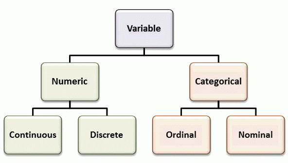 Flowchart showing how variables are made up of numeric and categorical components