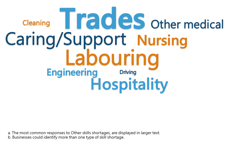 The image presents the types of other skill shortages experienced by businesses (a)(b), year ended 30 June 2022.