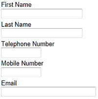 Example: Text fields