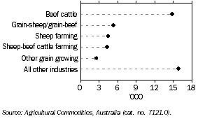 Businesses with agricultural activity, New South Wales, at 30 June 2007