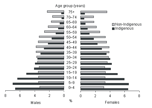 Diagram: Population profile by Indigenous status, age and sex—2001