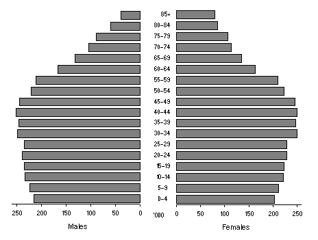 Diagram: Age population pyramid–2006