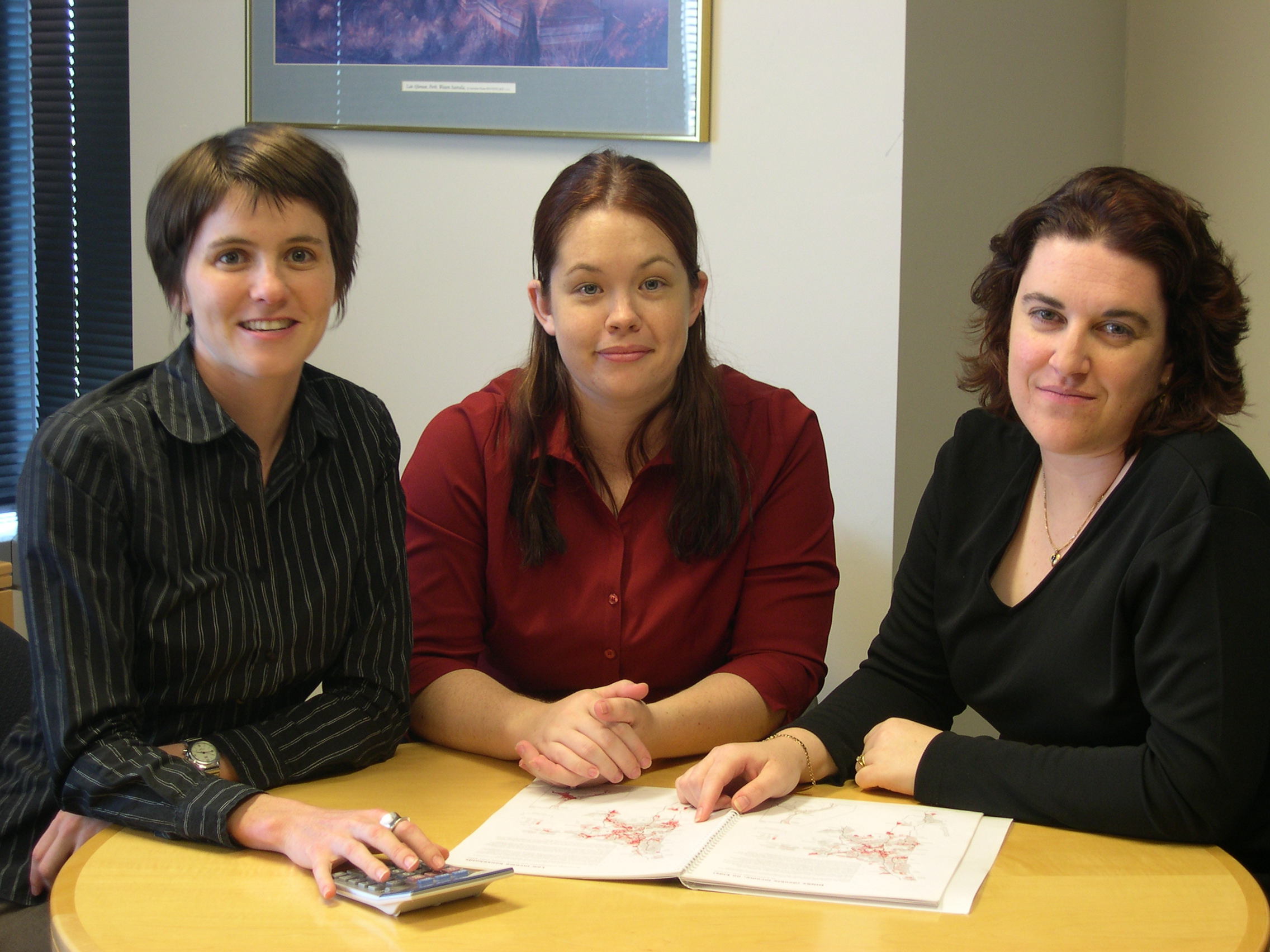 WA Statistical Consultancy Team