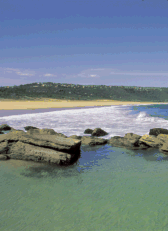 Image: Bouddi National Park