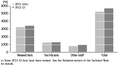 Graph: PNP HUMAN RESOURCES DEVOTED TO R&D, by type of resource
