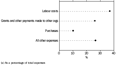 Graph: EXPENSE ITEMS, Environment, development, housing, employment, law, philanthropic, international(a)