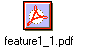 feature1_1.pdf