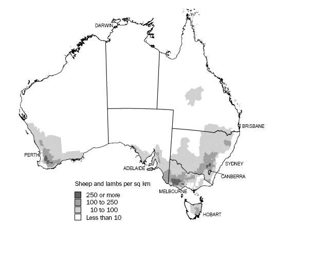 Sheep - 05-06 Ag Census