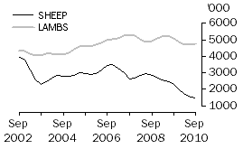 Graph: SHEEP AND LAMBS