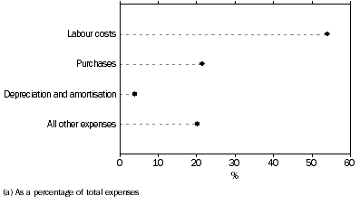 Graph: EXPENSE ITEMS, Hospitals(a)