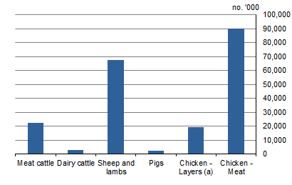 GRAPH 3. NUMBER OF LIVESTOCK ON HOLDINGS, Australia, 2015-16