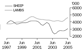 Graph of number of sheep and lambs slaughtered, June 1997 to June 2005