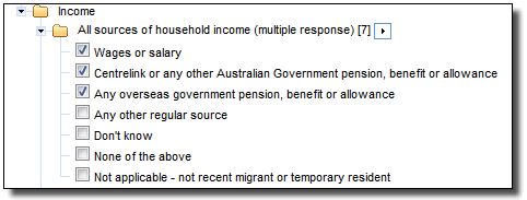 Image: Household income multi response data item