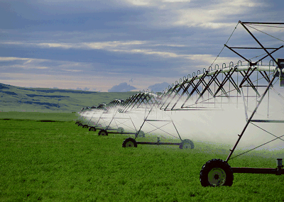 Image: Irrigator