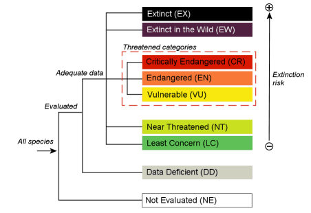 The IUCN Red List Categories and Criteria