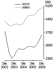 Graph: Sheep and lamb slaughterings Trend